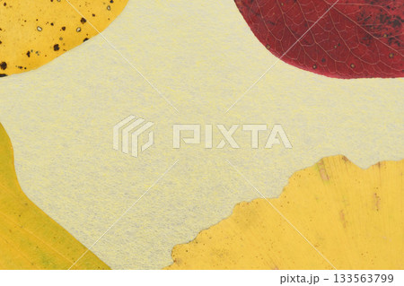 和紙と紅葉した葉のコラボ【背景素材】 和紙と紅葉した葉のコラボ【背景素材】 133563799