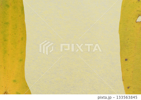 和紙と自然薯の葉のコラボ【背景素材】 133563845