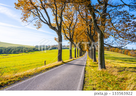 Narrow rural asphalt road in autumn time. Sunny autumnal weather. Narrow rural asphalt road in autumn time. Sunny autumnal weather. 133563922