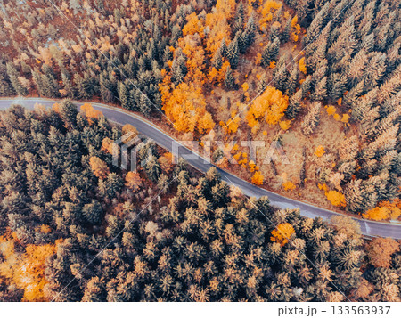 Autumn time colorful forest and narrow asphalt road. Aerial view from drone. Autumn time colorful forest and narrow asphalt road. Aerial view from drone. 133563937