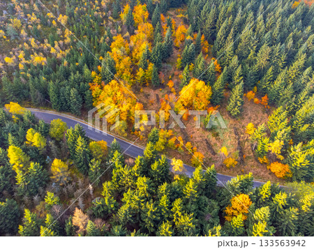 Autumn time colorful forest and narrow asphalt road. Aerial view from drone. 133563942