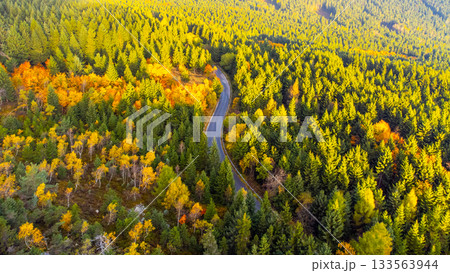 Autumn time colorful forest and narrow asphalt road. Aerial view from drone. Autumn time colorful forest and narrow asphalt road. Aerial view from drone. 133563944