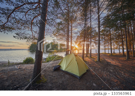 Tourist tent in a pine forest on the shore of a lake at sunset Tourist tent in a pine forest on the shore of a lake at sunset 133563961