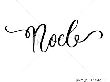 Noel Calligraphy Script with Flourishes.Elegant Cursive Typography for Christmas Greeting. 133564338