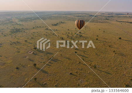 大地を渡る熱気球と黄金色の草原 133564600