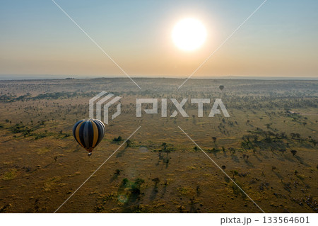 大草原を照らす朝陽と熱気球の旅 133564601