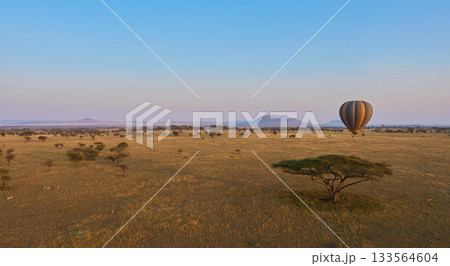 黄金色のサバンナを飛ぶバルーンサファリ 黄金色のサバンナを飛ぶバルーンサファリ 133564604