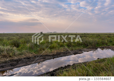 静けさ漂うサバンナの朝・水面に映る空 133564607