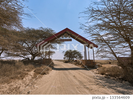 セレンゲティ国立公園のゲートと乾いた大地の風景 133564609