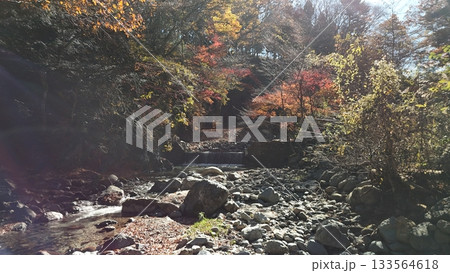 紅葉の道志みち　渓流 133564618