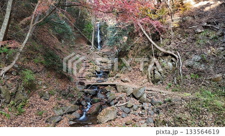 紅葉の男滝　山梨 133564619