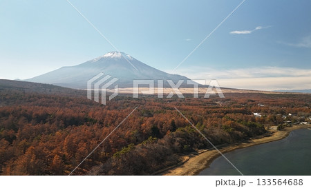 紅葉の富士山　山中湖から 133564688