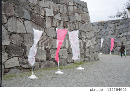 石垣の前の福岡城さくらまつりののぼり旗 133564691