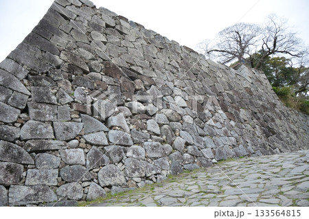福岡城の石垣 福岡城の石垣 133564815