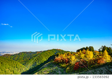 紅葉（奥高尾、一丁平） 133565092