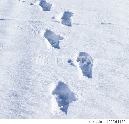 真冬の北海道の雪が積もった歩道を歩いた足跡がある風景 133565152