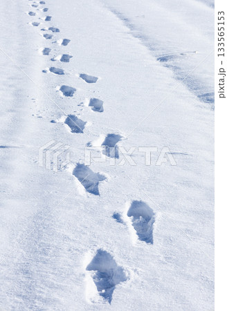 真冬の北海道の雪が積もった歩道を歩いた足跡がある風景 真冬の北海道の雪が積もった歩道を歩いた足跡がある風景 133565153