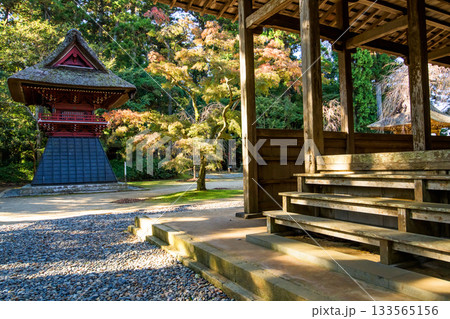 静かな朝を迎えた　飯高檀林跡　飯高寺　千葉県 133565156