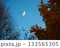赤い紅葉に見上げるお月見の空 133565305