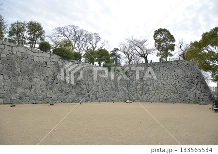 福岡城の石垣 福岡城の石垣 133565534