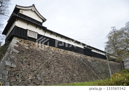 力強い石垣と城の櫓 133565542