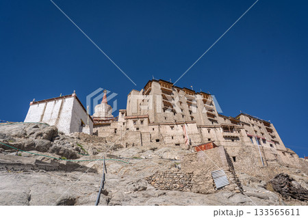 Leh Palace in Ladakh, India 133565611
