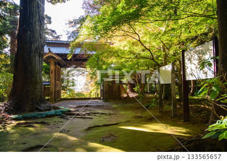 色づき始めたモミジと飯高寺総門 史跡飯高檀林跡 千葉県 色づき始めたモミジと飯高寺総門 史跡飯高檀林跡 千葉県 133565657
