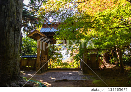 朝の飯高寺総門 色づき始めたモミジ 史跡飯高檀林跡 千葉県 朝の飯高寺総門 色づき始めたモミジ 史跡飯高檀林跡 千葉県 133565675