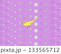 パープル背景の黄色い鳥のイラスト 133565712