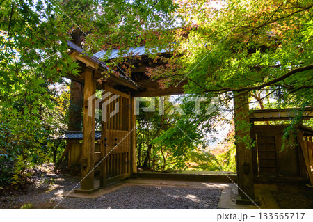 初秋の朝　色づき始めたモミジ出迎える　飯高寺総門　史跡飯高檀林跡　千葉県 133565717