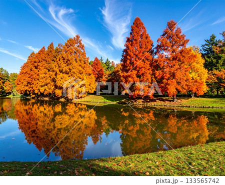 【AI生成画像】艶やかな紅葉の上下対称の姿 133565742