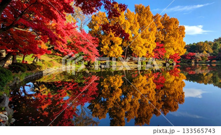 【AI生成画像】艶やかな紅葉の上下対称の姿 133565743