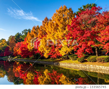 【AI生成画像】艶やかな紅葉の上下対称の姿 【AI生成画像】艶やかな紅葉の上下対称の姿 133565745