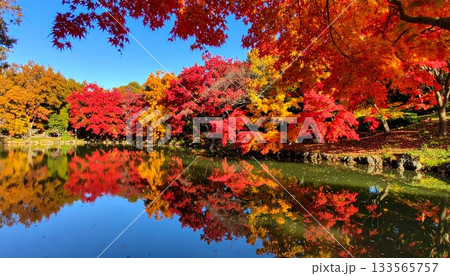 【AI生成画像】艶やかな紅葉の上下対称の姿 133565757