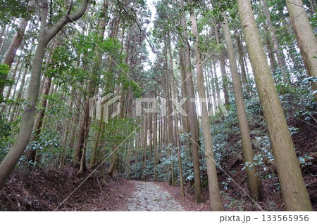 東海道 133565956