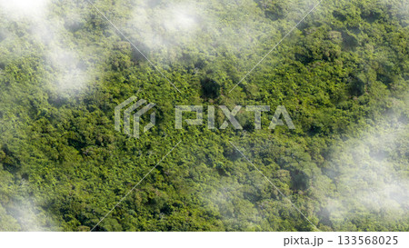 Aerial view of the clouds with a lush tropical landscape. Natural background Aerial view of the clouds with a lush tropical landscape. Natural background 133568025