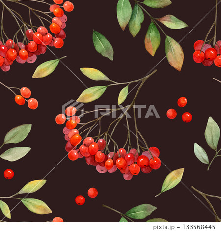 Rowan berry clusters and leaves watercolor seamless pattern on dark background. Autumn nature hand drawn clip art. Realistic drawing for natural designs and cards 133568445