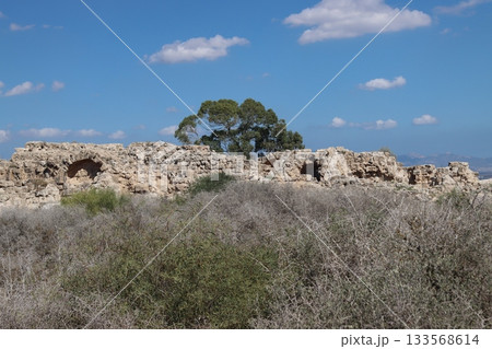 Salamis ruderi romani cipro ancient stone ruins standing against a blue sky. Salamis ruderi romani cipro 133568614