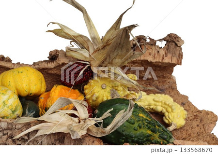 Assortment of decorative gourds and indian corn on cork Assortment of decorative gourds and indian corn on cork 133568670