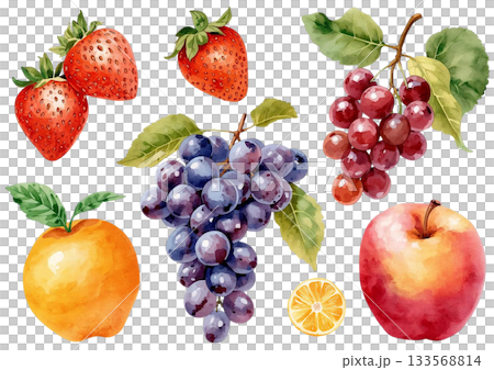 水彩水果插圖（透明背景PNG） 133568814