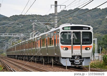 中央西線を行く315系電車C124編成 中央西線を行く315系電車C124編成 133568820