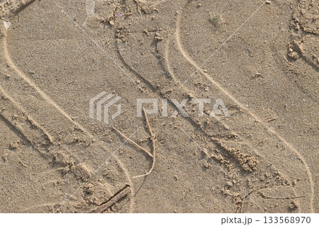 Tire tracks creating s shape on sandy beach surface 133568970