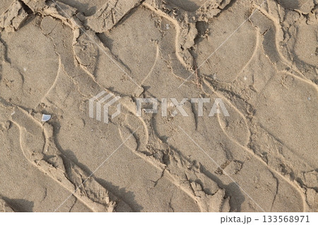 Tire tracks creating a pattern on the sandy surface 133568971