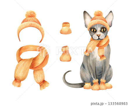 Warm clothes for animals clip art constructor. Sphinx hairless cat in knitted hat, scarf, socks. Domestic pet fashion apparel. Watercolor isolated illustration. Hand drawn art for other animals 133568983
