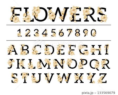 Elegant floral elements font. Decorative vintage numbers and letters design, gentle alphabet with blossom flowers, golden botanical ornament isolated elements, wedding decor splendid vector set Elegant floral elements font. Decorative vintage numbers and letters design, gentle alphabet with blossom flowers, golden botanical ornament isolated elements, wedding decor splendid vector set 133569079