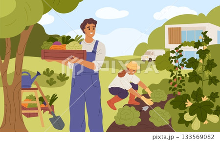 Gardener works. Happy farmers couple harvesting, vegetable beds, fresh organic products, family agriculture planting, plantation summer landscape, cartoon isolated garish vector concept 133569082