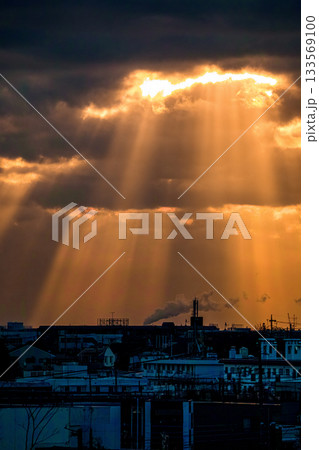 天使の梯子 133569100