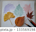 イチョウ、サクラ、モミジの落ち葉に紙を乗せ色鉛筆で擦って葉脈模様を転写 133569198