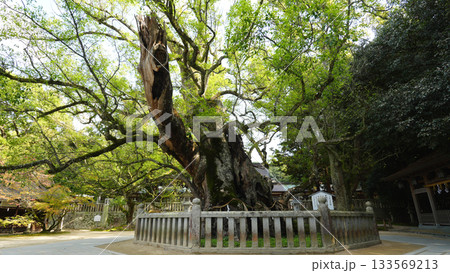 大山祇神社 133569213