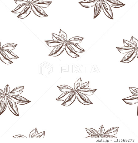 Graphic seamless pattern of star anise in black and white vector hand drawn illustration for spice packaging,culinary,herbal-themed designs.Natural texture with minimalistic elegance 133569275